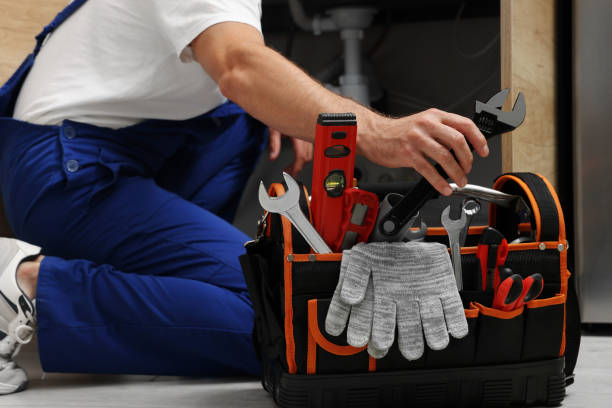 Best Toilet Repair Services  in Castle Rock, CO